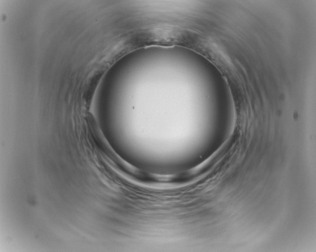 X0000089410413200706151256