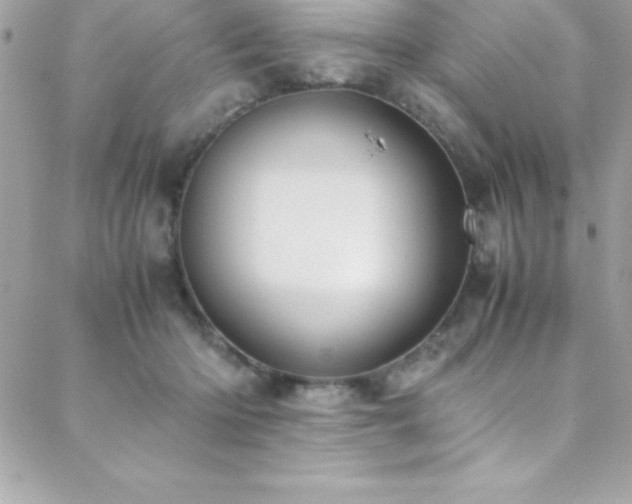 X0000089410414200706151256