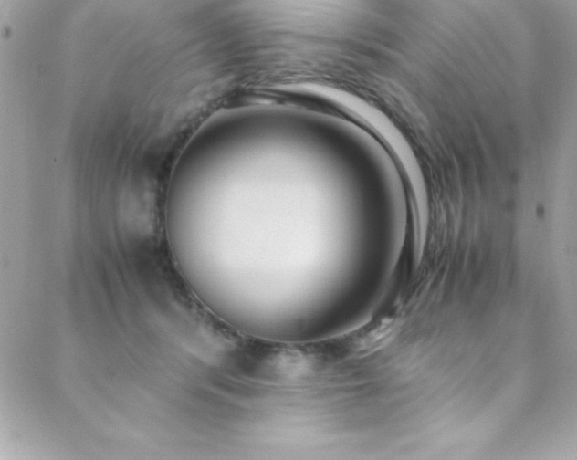 X0000089410416200706151256