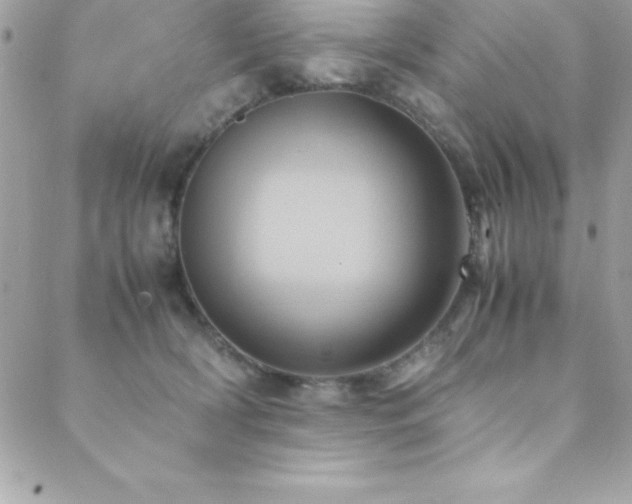 X0000089410418200706151256