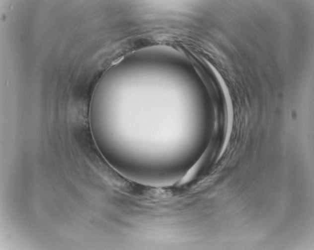 X0000089410421200706151256