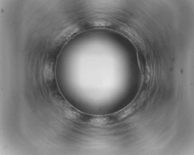 X0000089410422200706151256