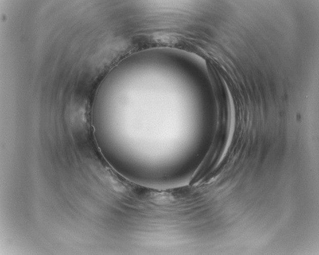 X0000089410424200706151256