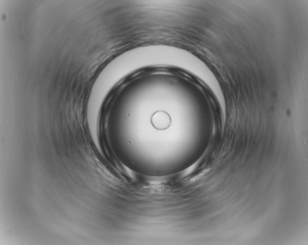 X0000089410428200706151256