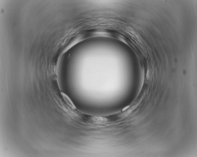 X0000089410429200706151256