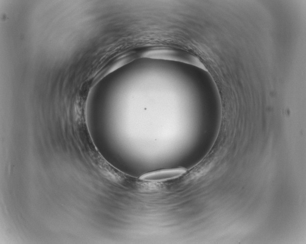 X0000089410432200706151256
