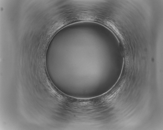 X0000089410433200706151255