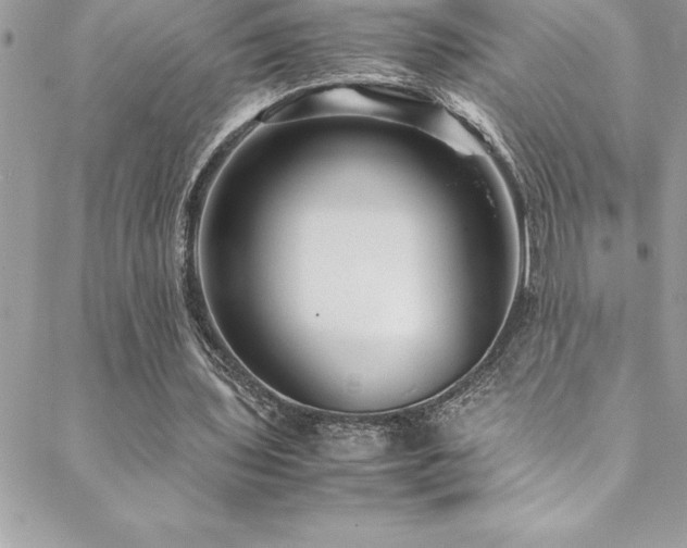 X0000089410435200706151255