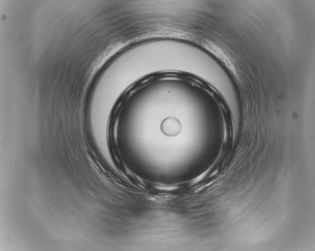 X0000089410436200706151255