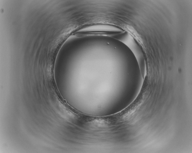 X0000089410441200706151255