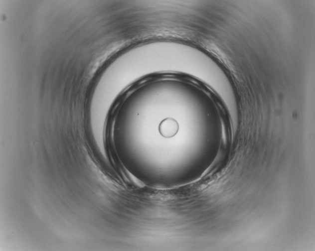 X0000089410444200706151255