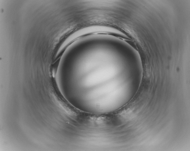 X0000089410450200706151256