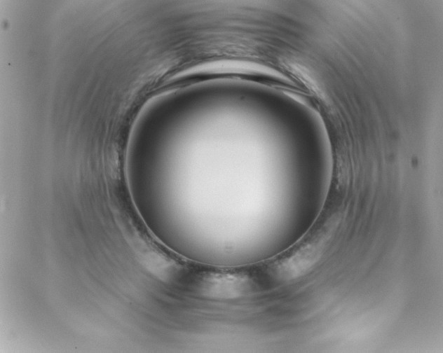 X0000089410453200706151256