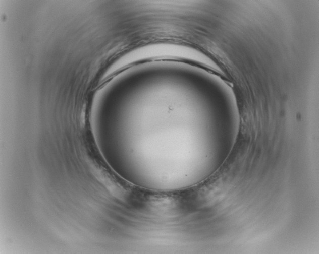 X0000089410454200706151256