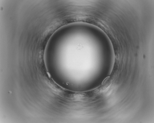 X0000089410462200706151256