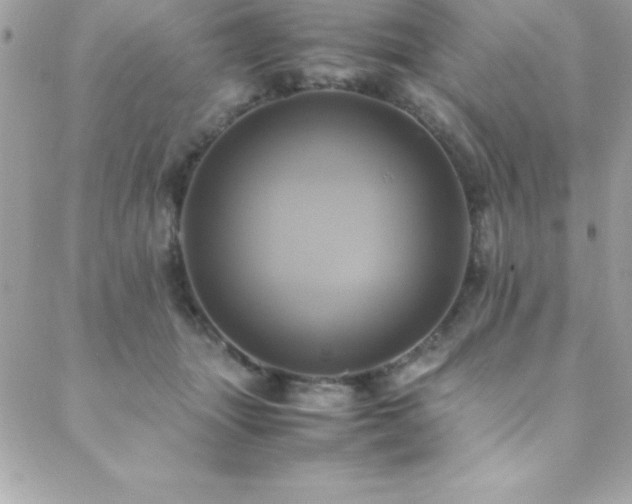 X0000089410463200706151256
