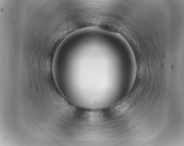 X0000089410466200706151256