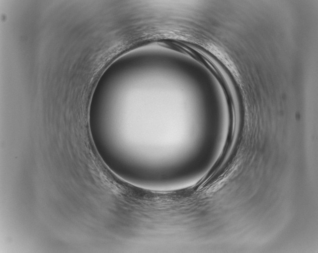 X0000089410481200706151255