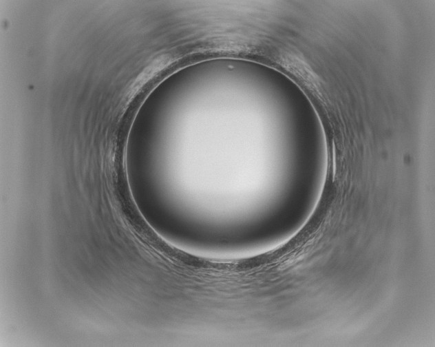 X0000089410483200706151255