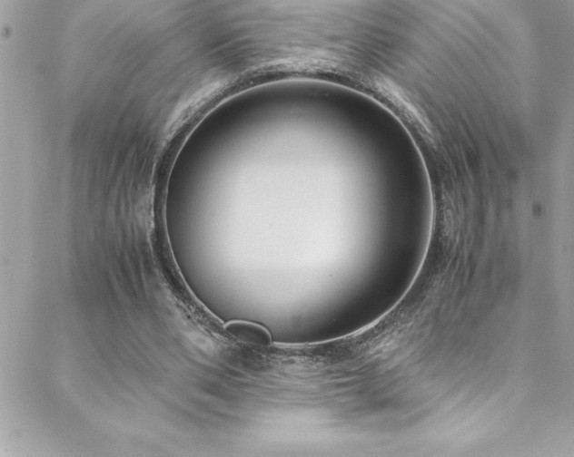 X0000089410486200706151255