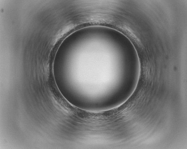 X0000089410488200706151255