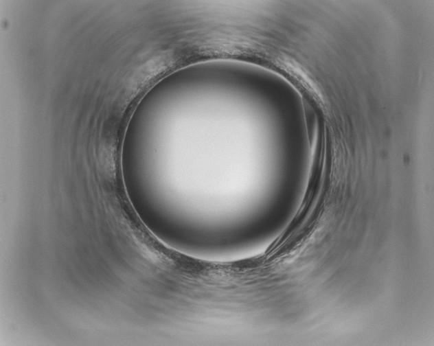 X0000089410489200706151255