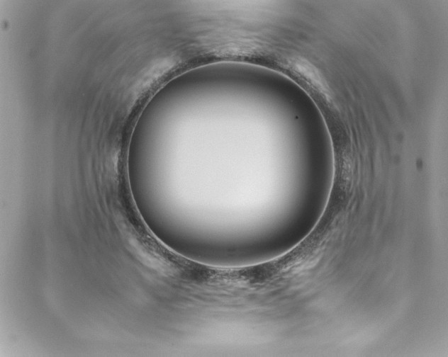 X0000089410491200706151255