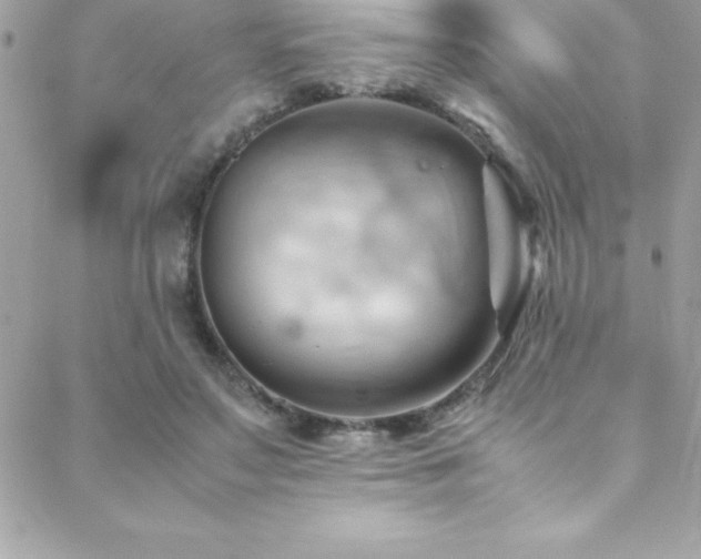 X0000089410499200706151255