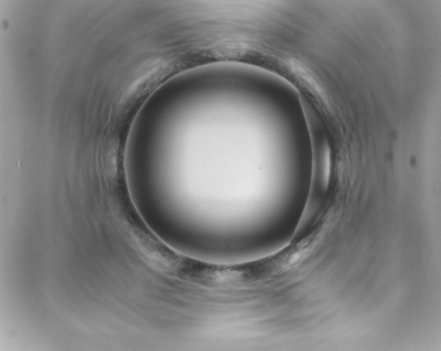 X0000089410501200706151255