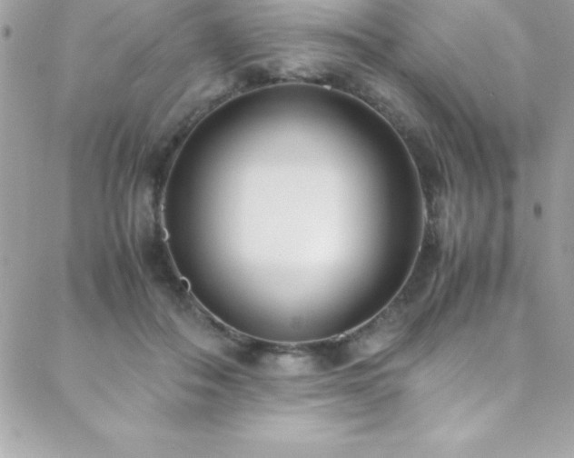 X0000089410506200706151255