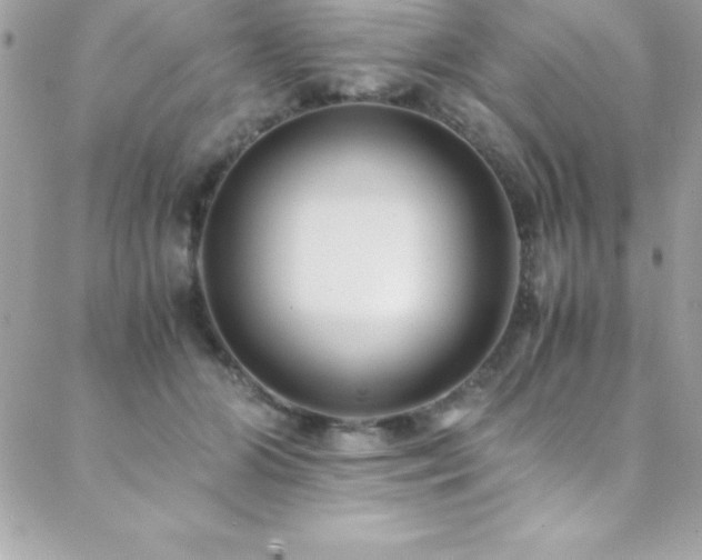 X0000089410510200706151255