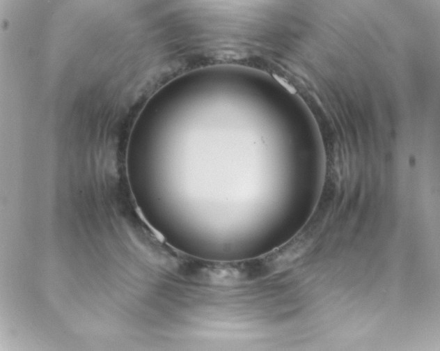 X0000089410512200706151255