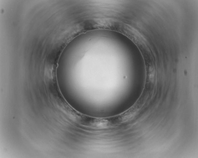 X0000089410514200706151255