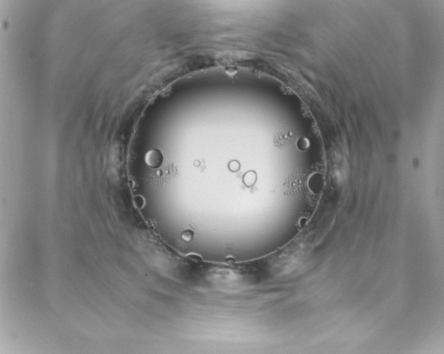 X0000089410519200706151255