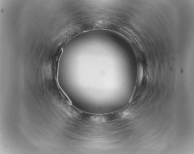 X0000089410520200706151255