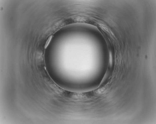 X0000089410521200706151255