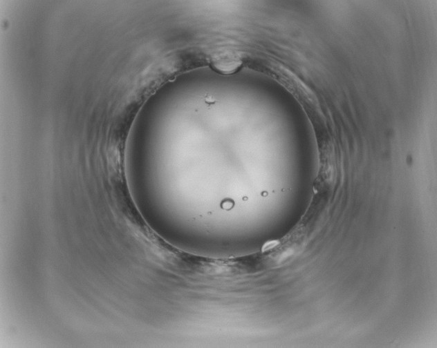 X0000089410523200706151255