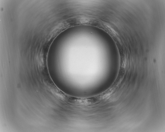 X0000089410524200706151255