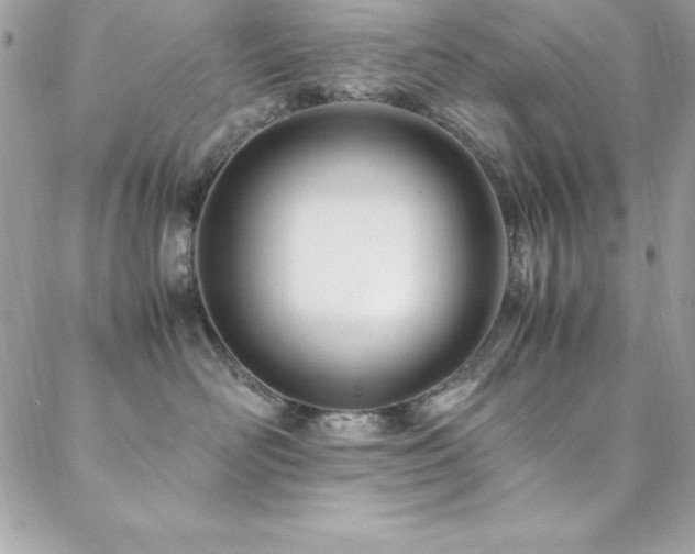 X0000089410526200706151255