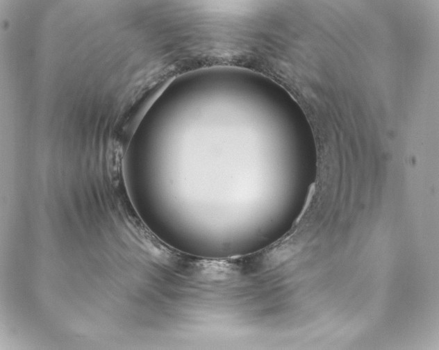 X0000089410528200706151255