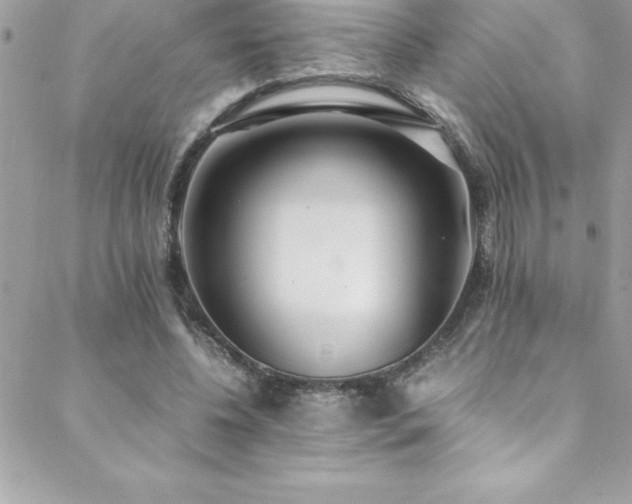 X0000089410540200706151254