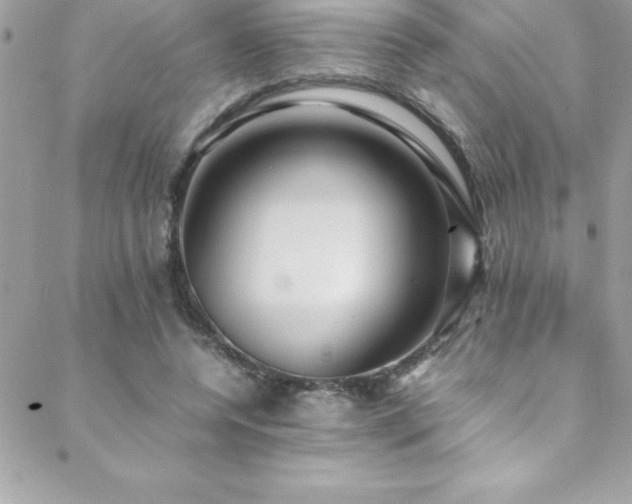 X0000089410544200706151254
