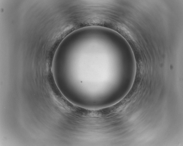 X0000089410546200706151254
