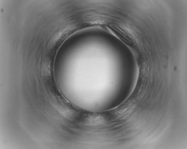 X0000089410547200706151254