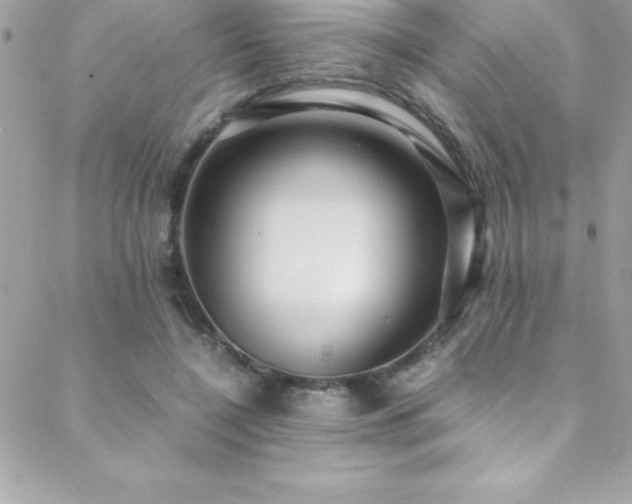 X0000089410548200706151254