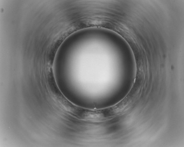 X0000089410555200706151254