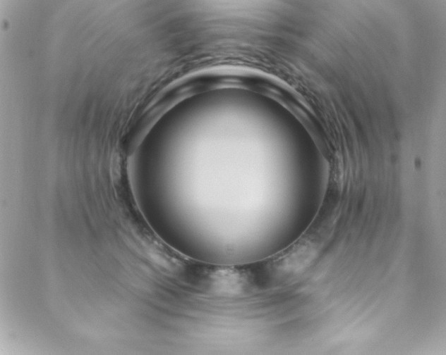 X0000089410562200706151254