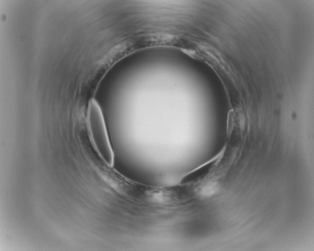 X0000089410564200706151254