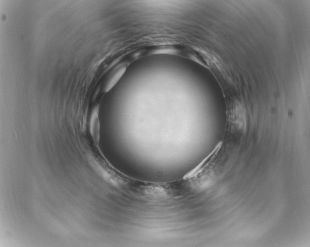 X0000089410572200706151254