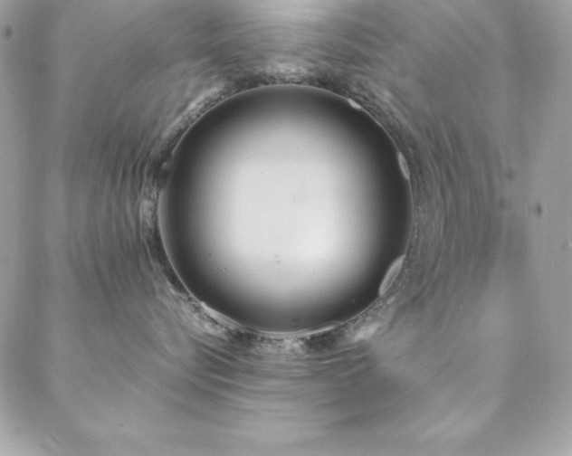 X0000089410576200706151255